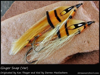 #95 Ginger Snap #95 Ginger Snap