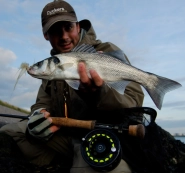 Early season Early season