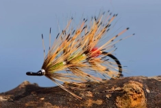 Tippet Grub Tippet Grub