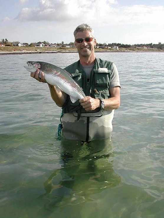 Rainbows galore - image Rainbows galore - image