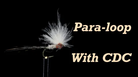 Video thumb for Para-loop with CDC