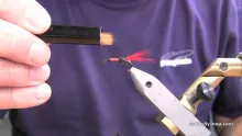 Video thumb for Rogue River Red Ant