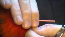 Video thumb for Popsicle