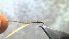 Video thumb for PMDS (Pale Morning Dun Spinner)