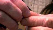 Video thumb for Silvey's Edible Emerger