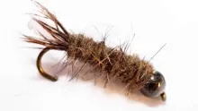 Video thumb for The Peeping Caddis