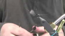 Video thumb for Blue Wing Olive Biot Dun