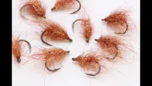 Video thumb for Copper Bug