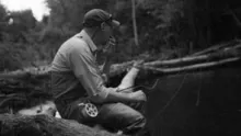 Video thumb for Mayfly