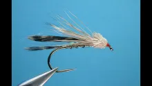 Video thumb for Rolled Muddler Variant