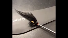 Video thumb for Futurefly