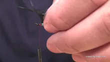 Video thumb for Sea Run Cutthroat Blue Boy