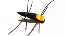 Video thumb for Easy foam Beetle