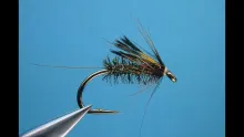 Video thumb for Sunray Diawl Bach