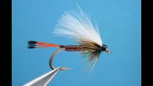 Video thumb for Wet-wire Western Coachman
