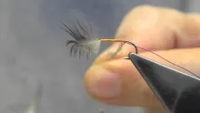 Video thumb for Dark Watchet