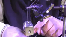 Video thumb for Ice Wing Hares Ear Nymph