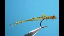 Video thumb for Dainty Damsel