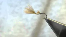 Video thumb for Improved F-Fly