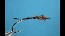 Video thumb for Simple Nymph