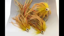 Video thumb for The bleeding bream