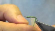 Video thumb for Rhyac