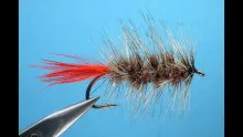 Video thumb for Woolly Bugger