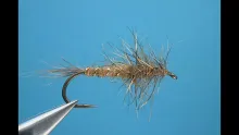 Video thumb for Red Fox Squirrel Nymph