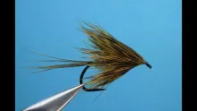 Video thumb for Brahma Ruffian