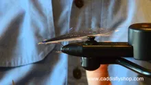 Video thumb for Puget Sound Baitfish