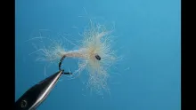 Video thumb for Regular