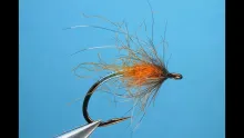 Video thumb for Shuck Raider