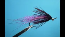 Video thumb for Crazy Comet