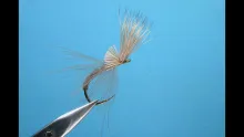 Video thumb for Crippled CDC&Elk